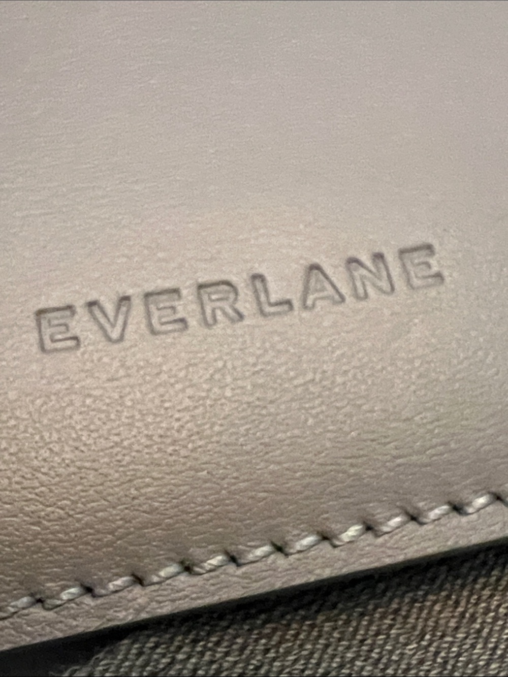 Everlane Smooth Leather The Cactus Sling Bag - Picture 2 of 8